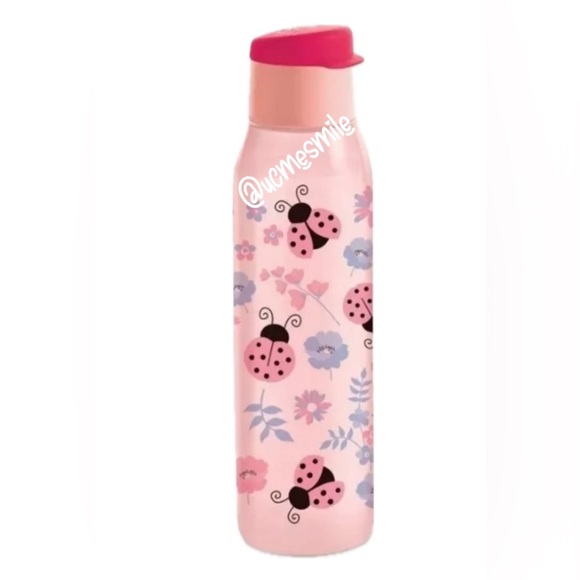 Tupperware Ladybug Eco Water Bottle - Picture 1 of 1